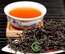 古树红茶适合什么人喝？哪些人适合喝古树红茶？