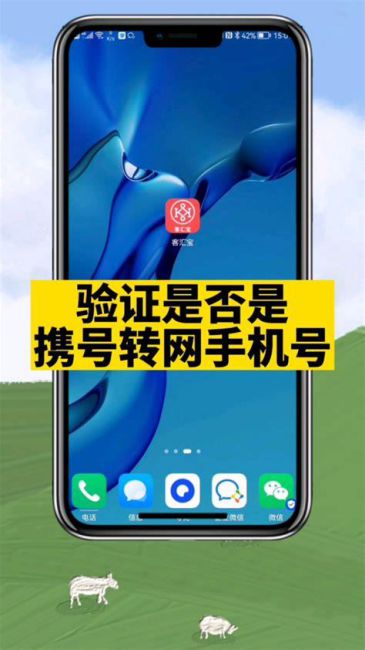 为什么携号转网后 手机一直是3g网呢怎么办-第1张图片-卡世界