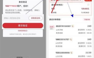 中国联通查流量
