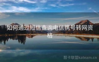 中国联通携号转网短信怎么发送不了